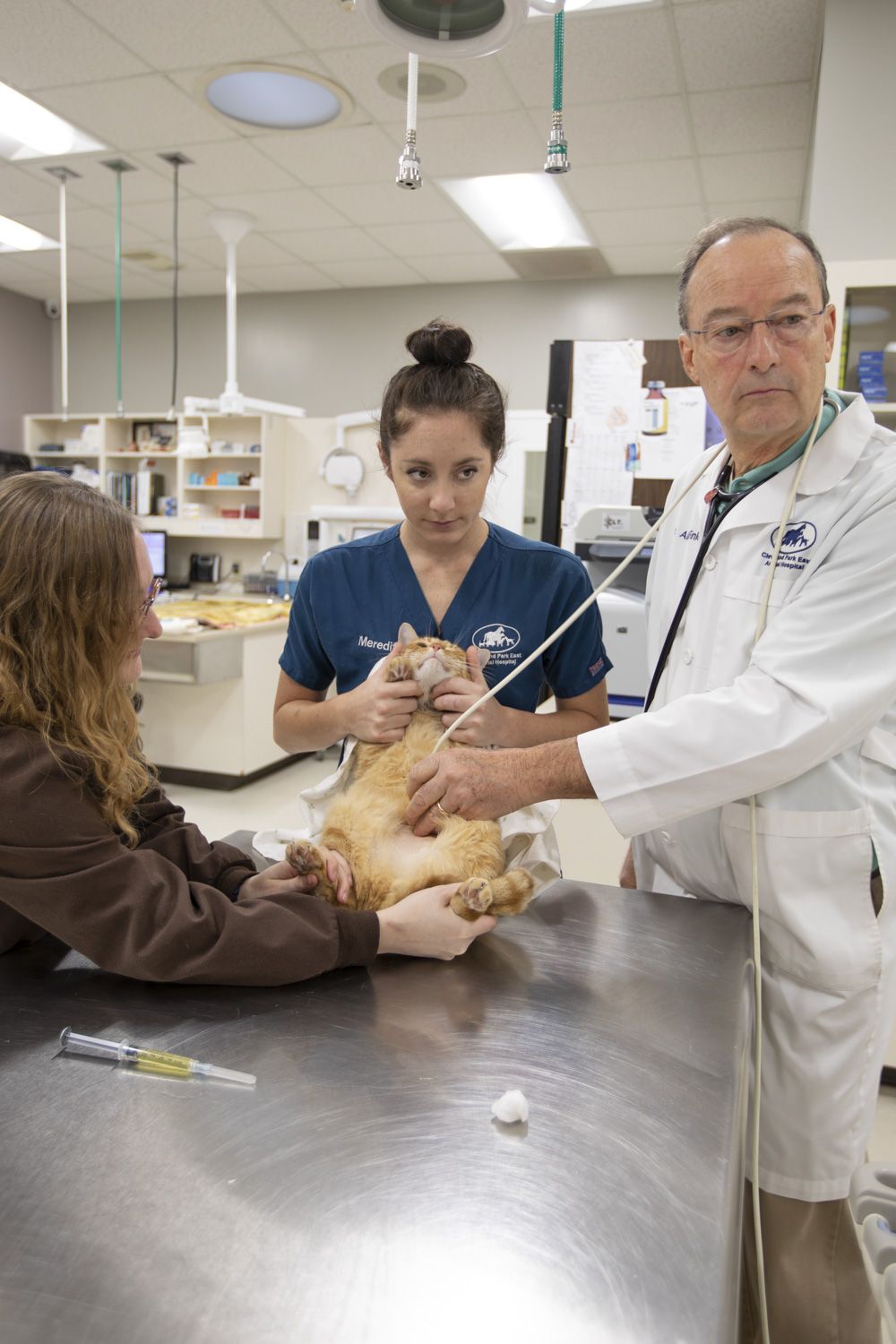 Hospital Veterinary Services in Simpsonville